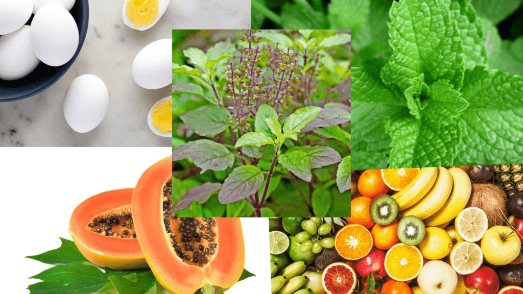 What foods are good for monkeypox Virus