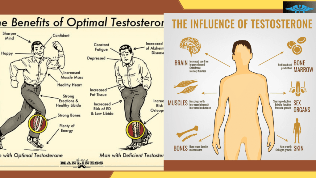 How to increase testosterone for beard growth